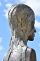 Vlasatica