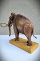 Kolumbuský mamut