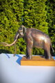 Kolumbuský mamut