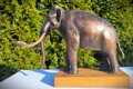 Kolumbuský mamut