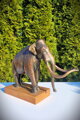 Kolumbuský mamut