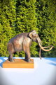 Kolumbuský mamut