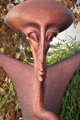 Spermoid