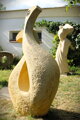 Symbióza