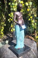 Asafrea