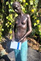 Asafrea