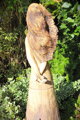 Justína
