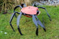 Krab