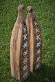 Icarus wings