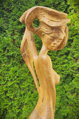 Dubová