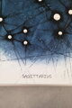 Sagittarius