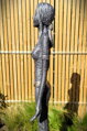 Strieborná Keltka