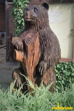 Medvedík brtník