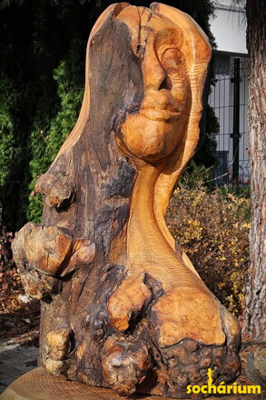 Tvár svetla a tieňa