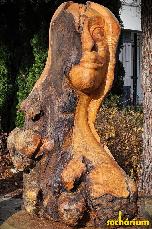 Tvár svetla a tieňa