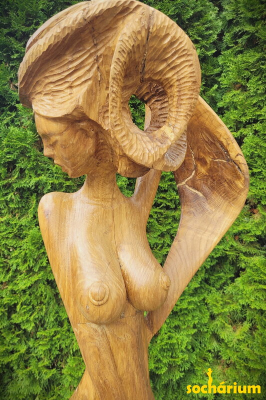Dubová